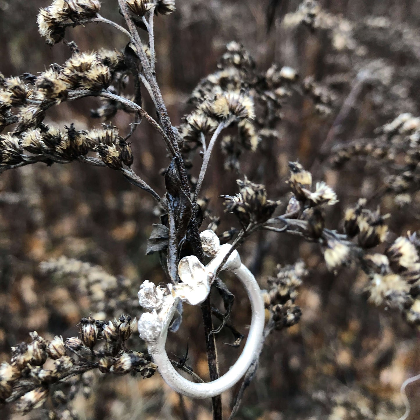 Silberring in der Natur fotografiert