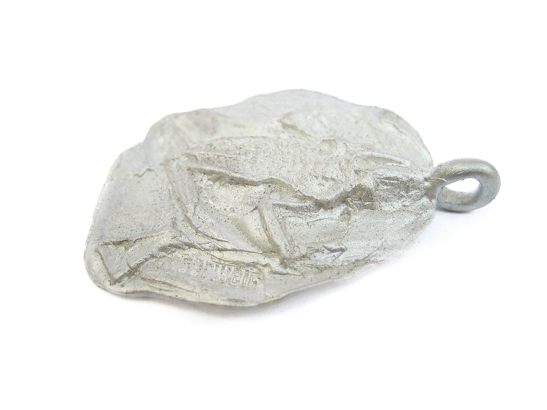 Silberner runder Anhänger mit einem Frosch.