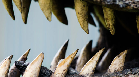 Traditioneller Schmuck aus Naturmaterialien – Symbolik und Bedeutung in Urvölkern