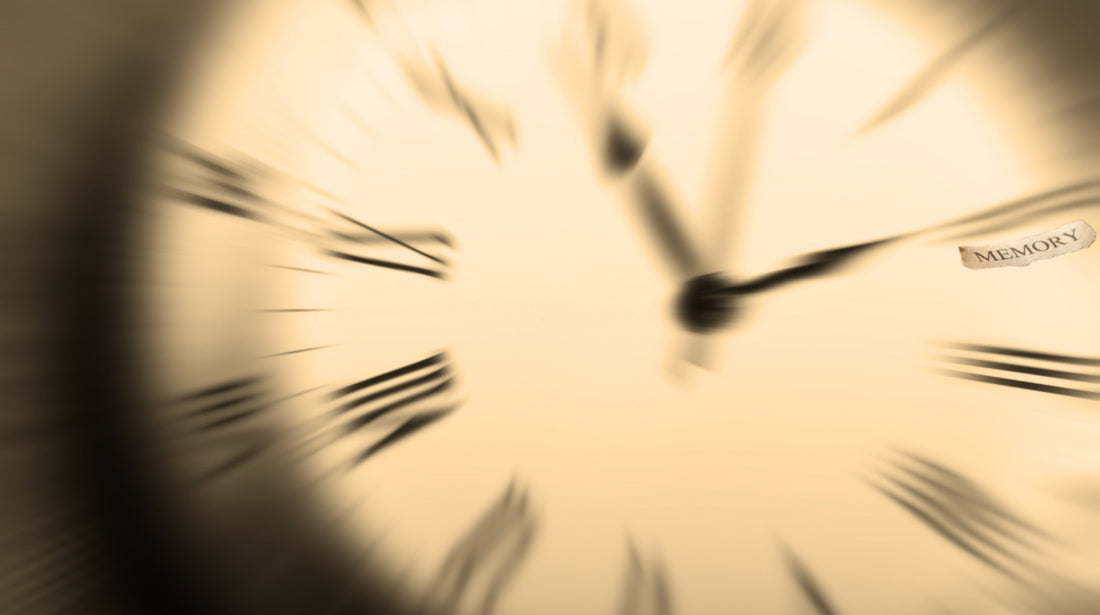 Erinnerungsschmuck aus Tierasche – Der Ablauf Schritt für Schritt