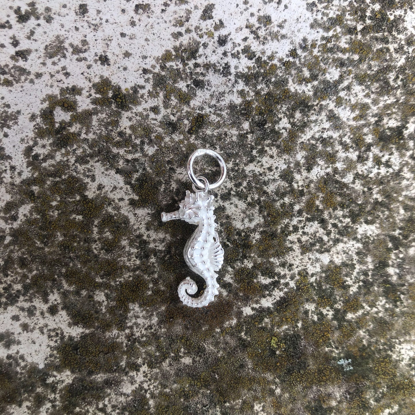 Seepferdchen-Anhänger aus Silber – Stille Kraft der Natur