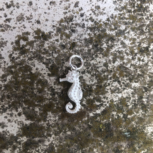 Seepferdchen-Anhänger aus Silber – Stille Kraft der Natur