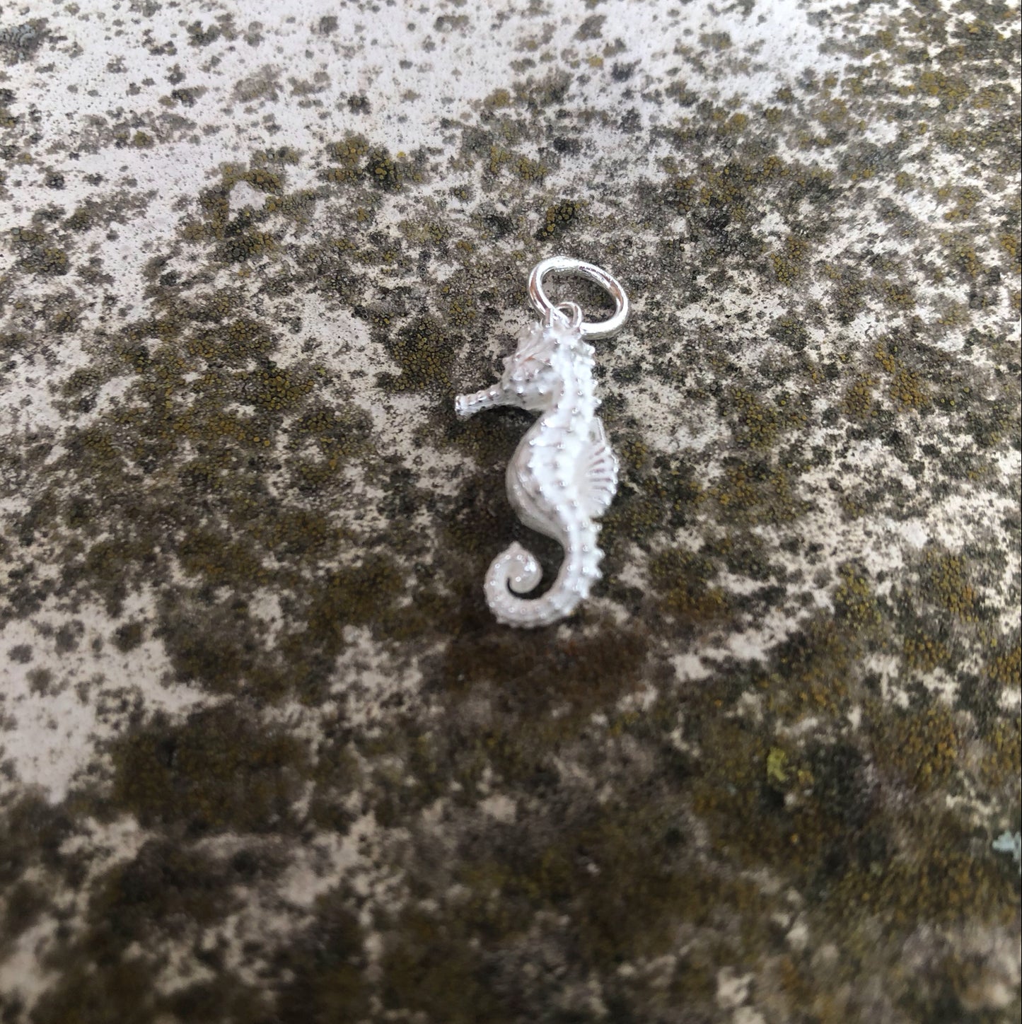 Seepferdchen-Anhänger aus Silber – Stille Kraft der Natur