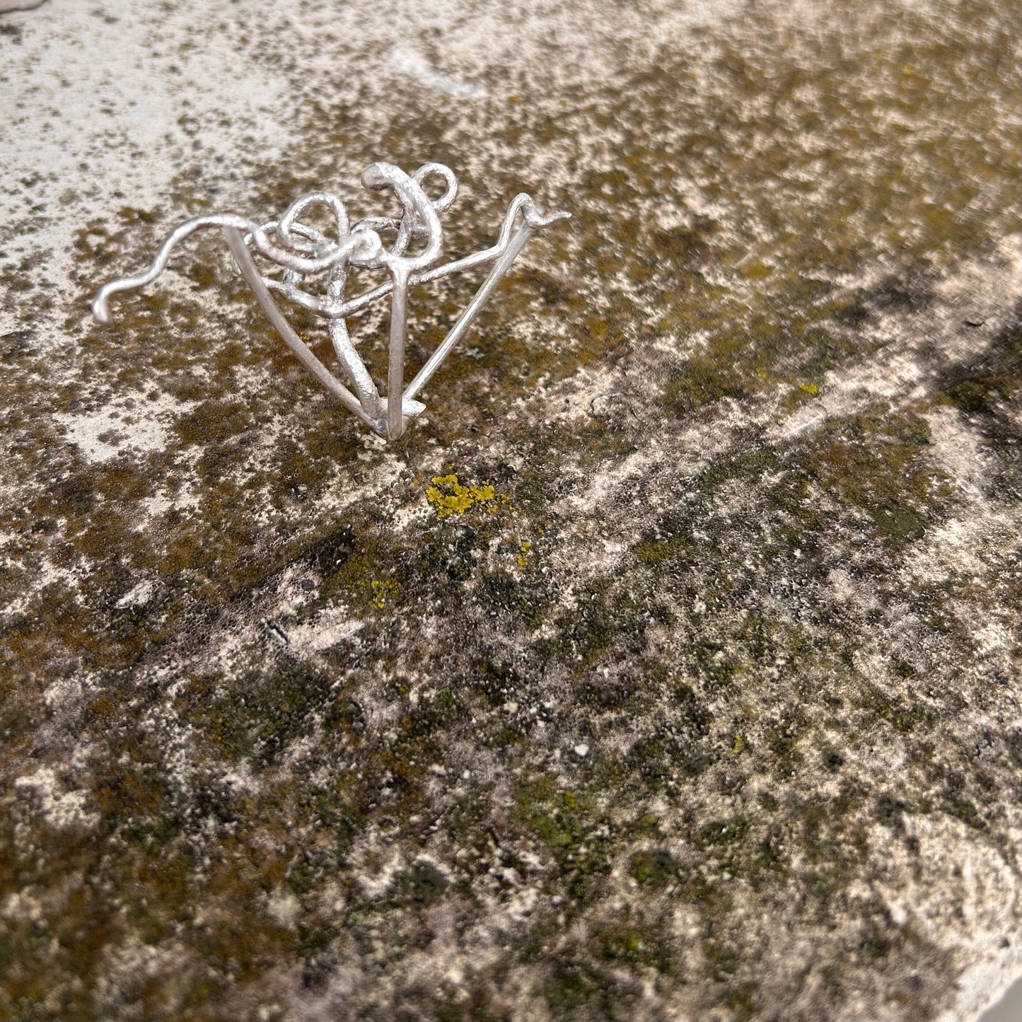 Eigensinn in Silber: Die tanzende Windung der Hasel