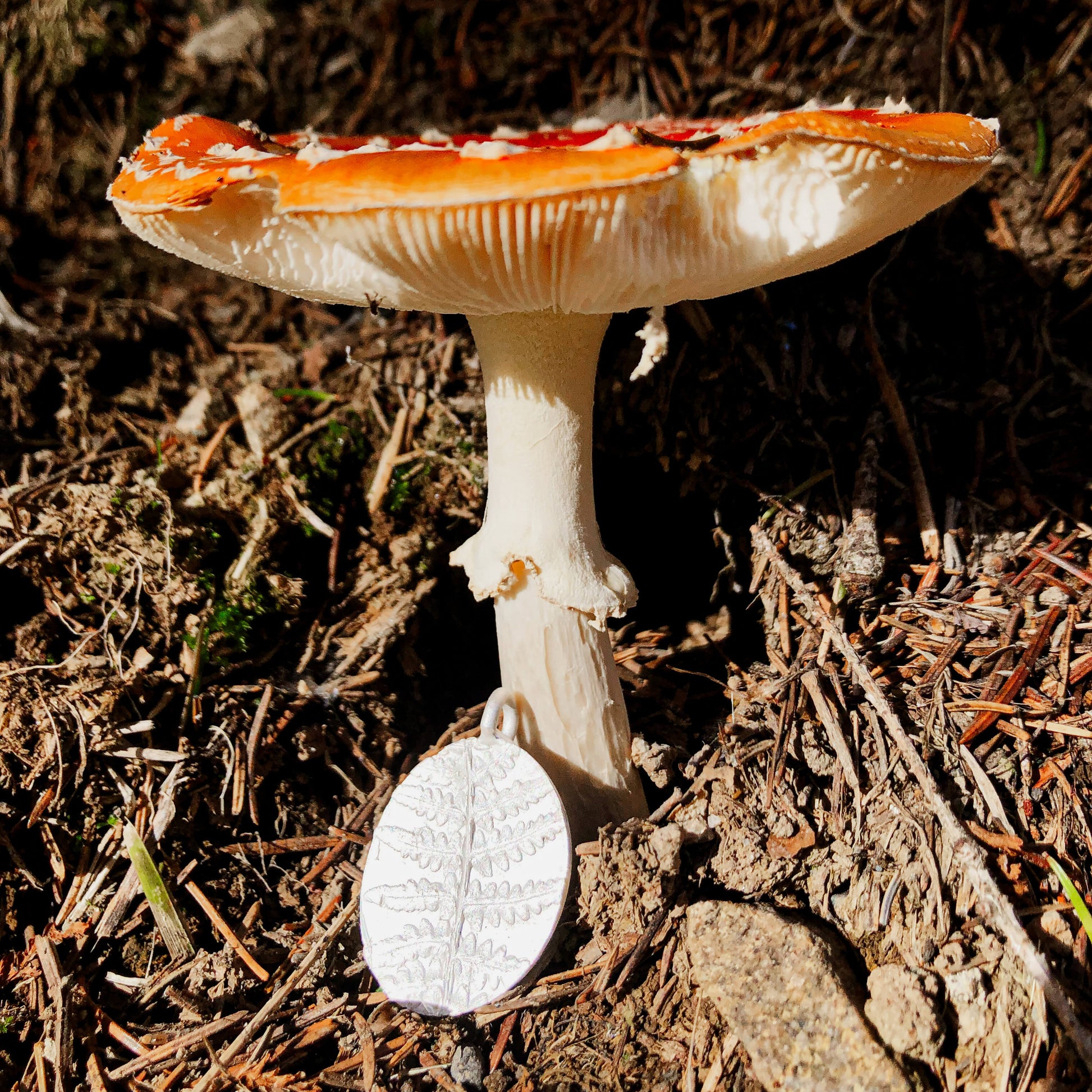 Silberanhänger „Farnenliebe“ lehnt an einem Fliegenpilz im Wald, symbolisiert die Magie und Vielfalt der Natur.