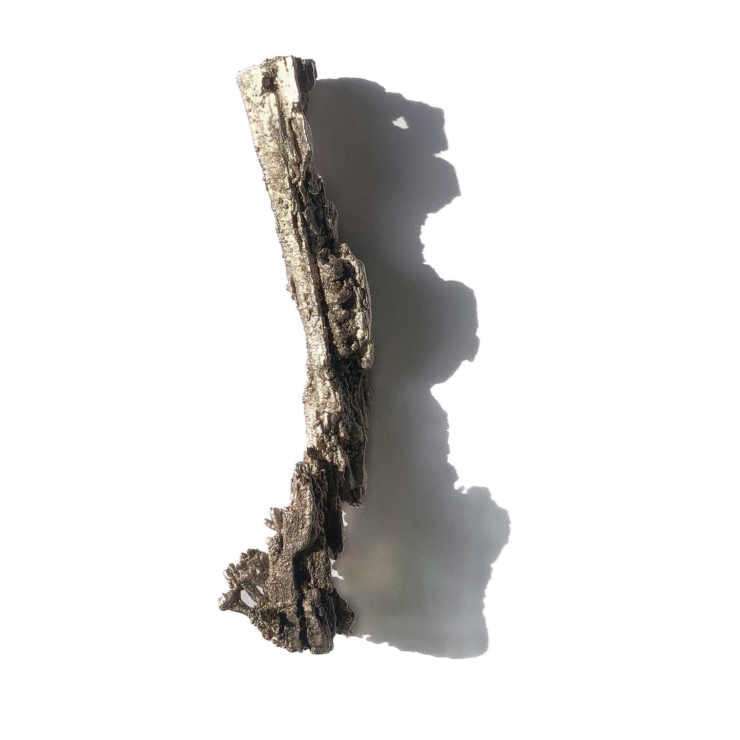 Anhänger Ast mit Flechten, von oben fotografiert, freigestellt vor weißem Hintergrund, zeigt die harmonische Verbindung von Silber und Har