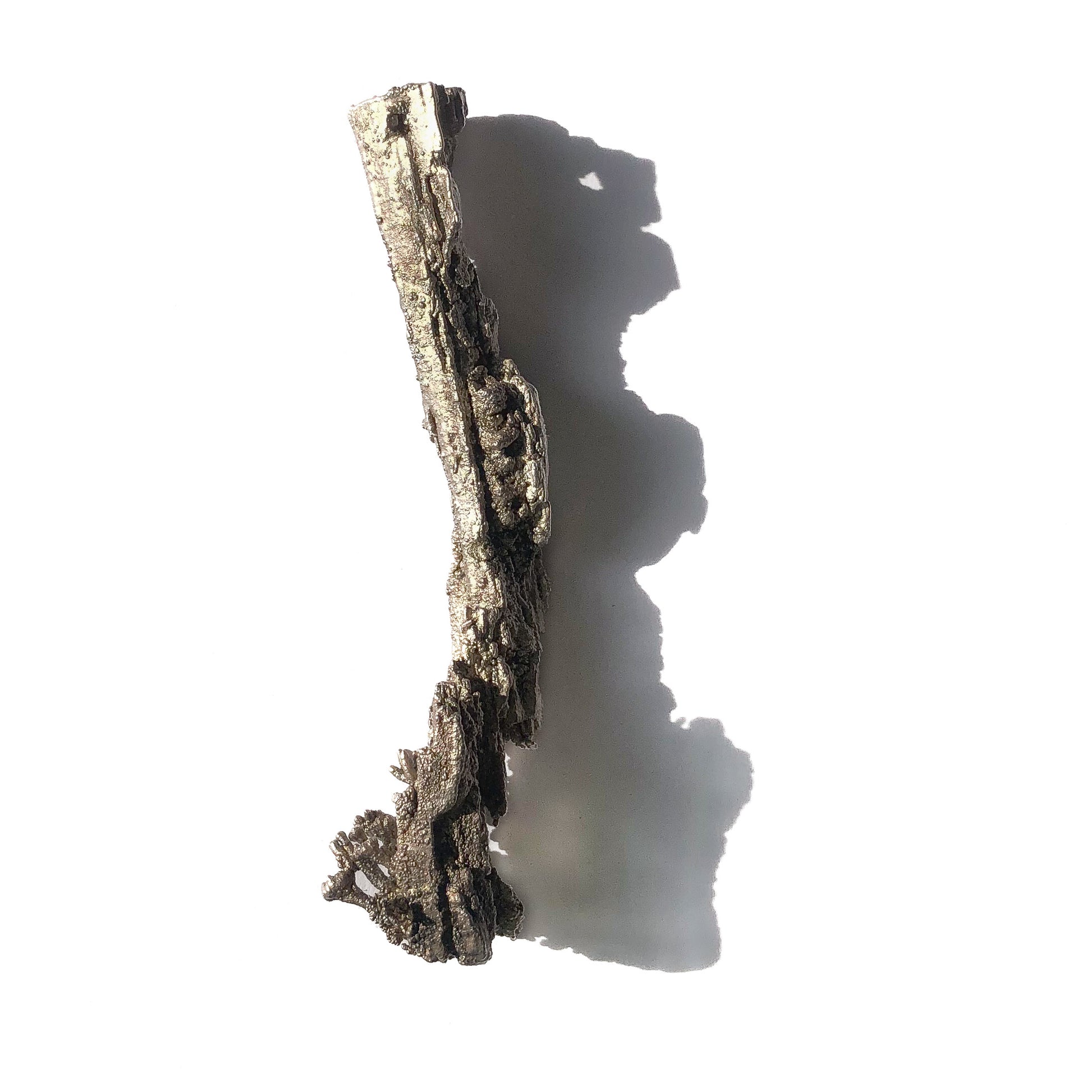 Anhänger Ast mit Flechten, von oben fotografiert, freigestellt vor weißem Hintergrund, zeigt die harmonische Verbindung von Silber und Har