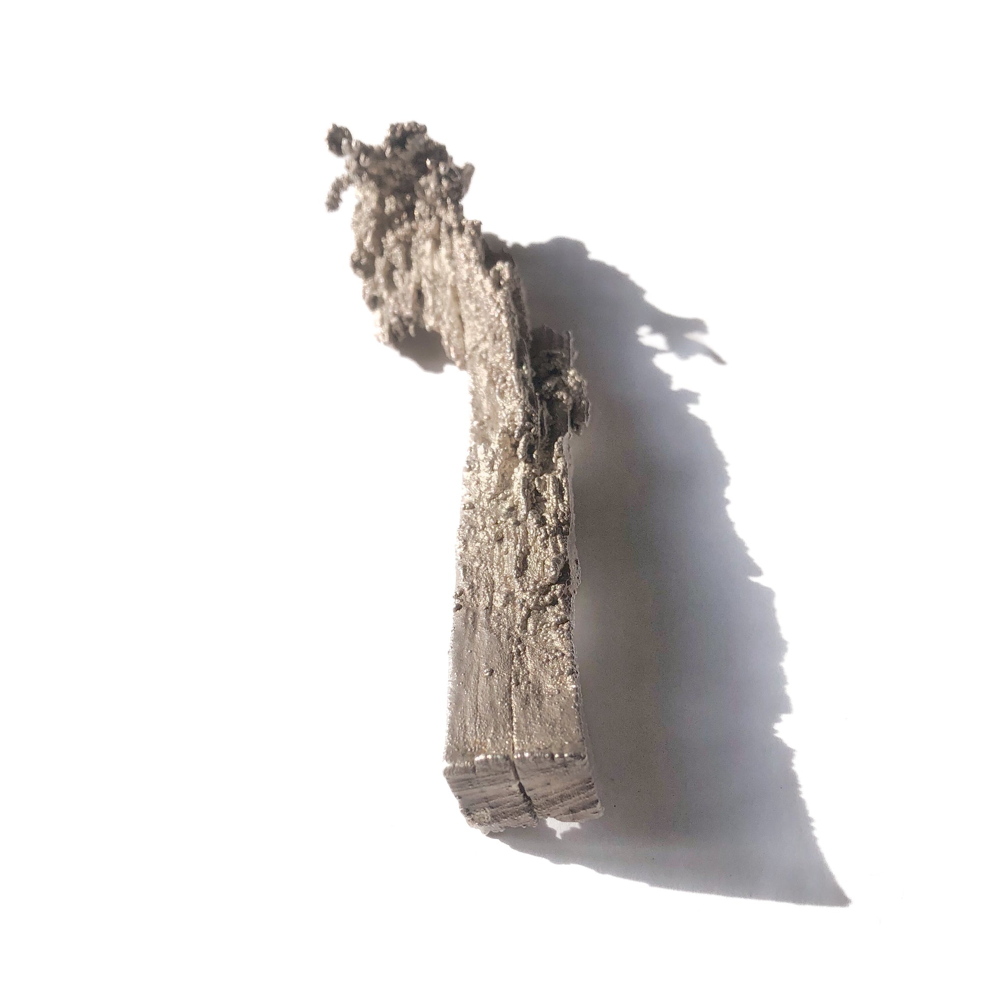 Frontalaufnahme des Anhängers Ast mit Flechten, freigestellt, längliche Perspektive, hebt die elegante Form und Details hervor