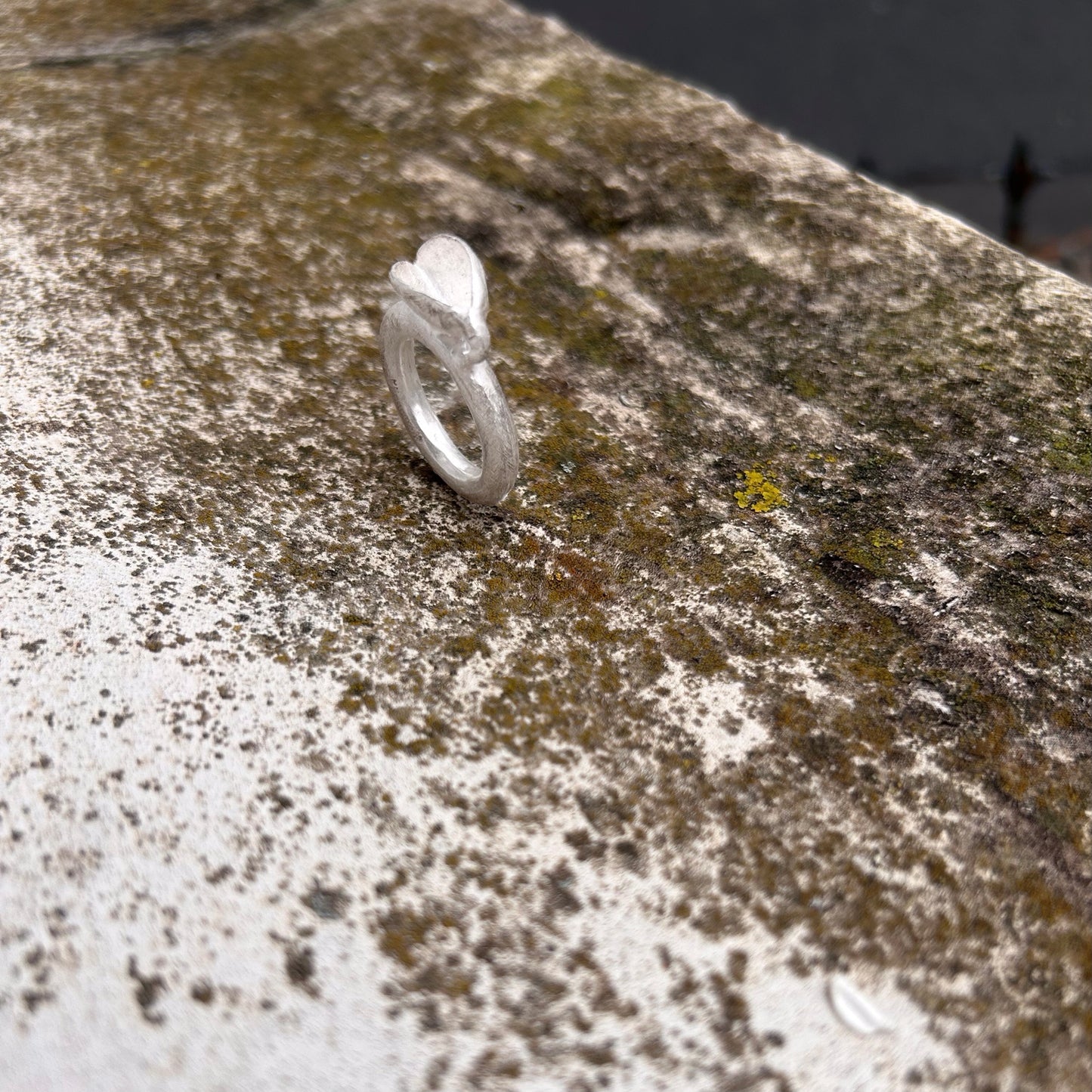 Der silberne Schalen-Ring steht auf grünem, weichem Waldmoos – ein Symbol für die Verbindung von Handwerk und Natur.