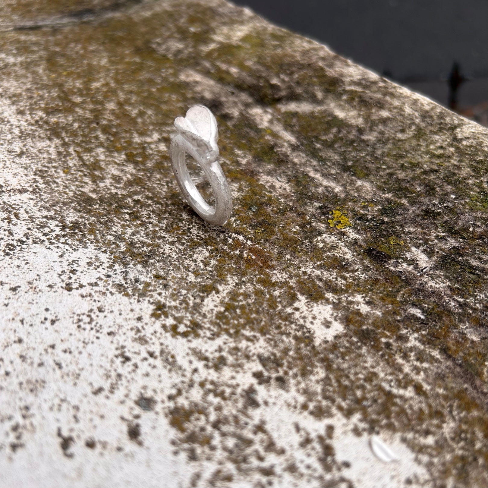 Der silberne Schalen-Ring steht auf grünem, weichem Waldmoos – ein Symbol für die Verbindung von Handwerk und Natur.