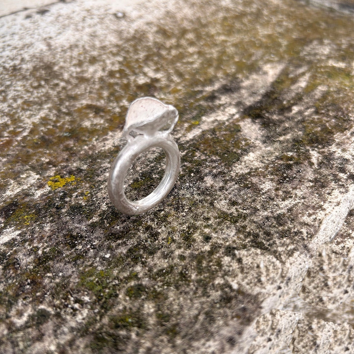 Skulpturaler Silberring inmitten von natürlichem Moos, der matte Glanz des Silbers kontrastiert mit der organischen Textur.